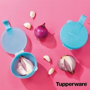 Tupperware Forget Me Not Set - Teal and Red